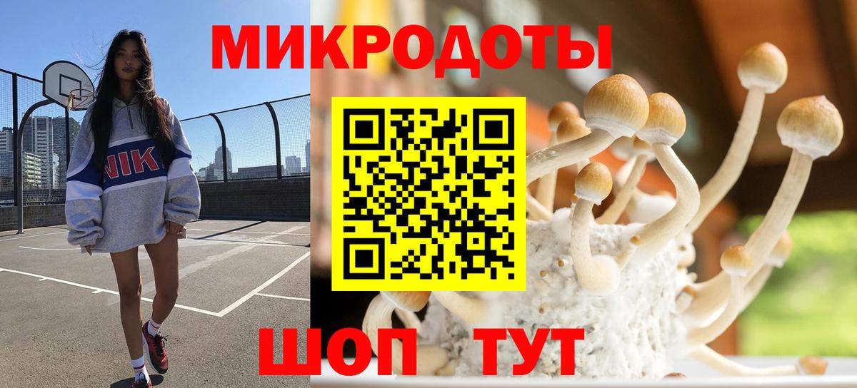 Галлюциногенные грибы мицелий  Псилоцибиновые грибы Psilocybe  Вход с VPN  Северобайкальск 